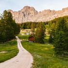 Rosengarten am Abend