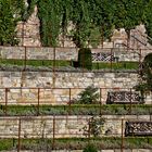 Rosengarten am Schloß in Torgau