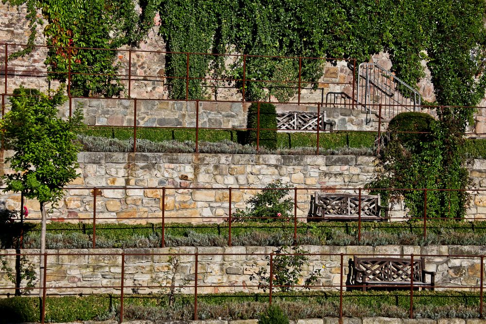 Rosengarten am Schloß in Torgau