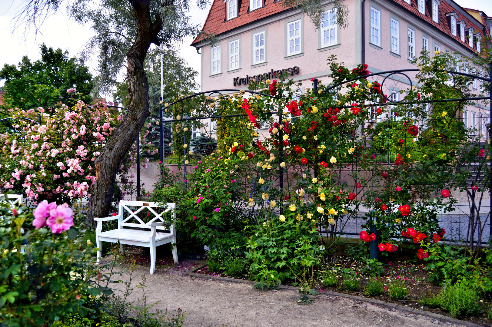  Rosengarten am Stormmuseum in Heilbad Heiligenstadt