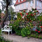  Rosengarten am Stormmuseum in Heilbad Heiligenstadt