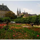 Rosengarten Bamberg