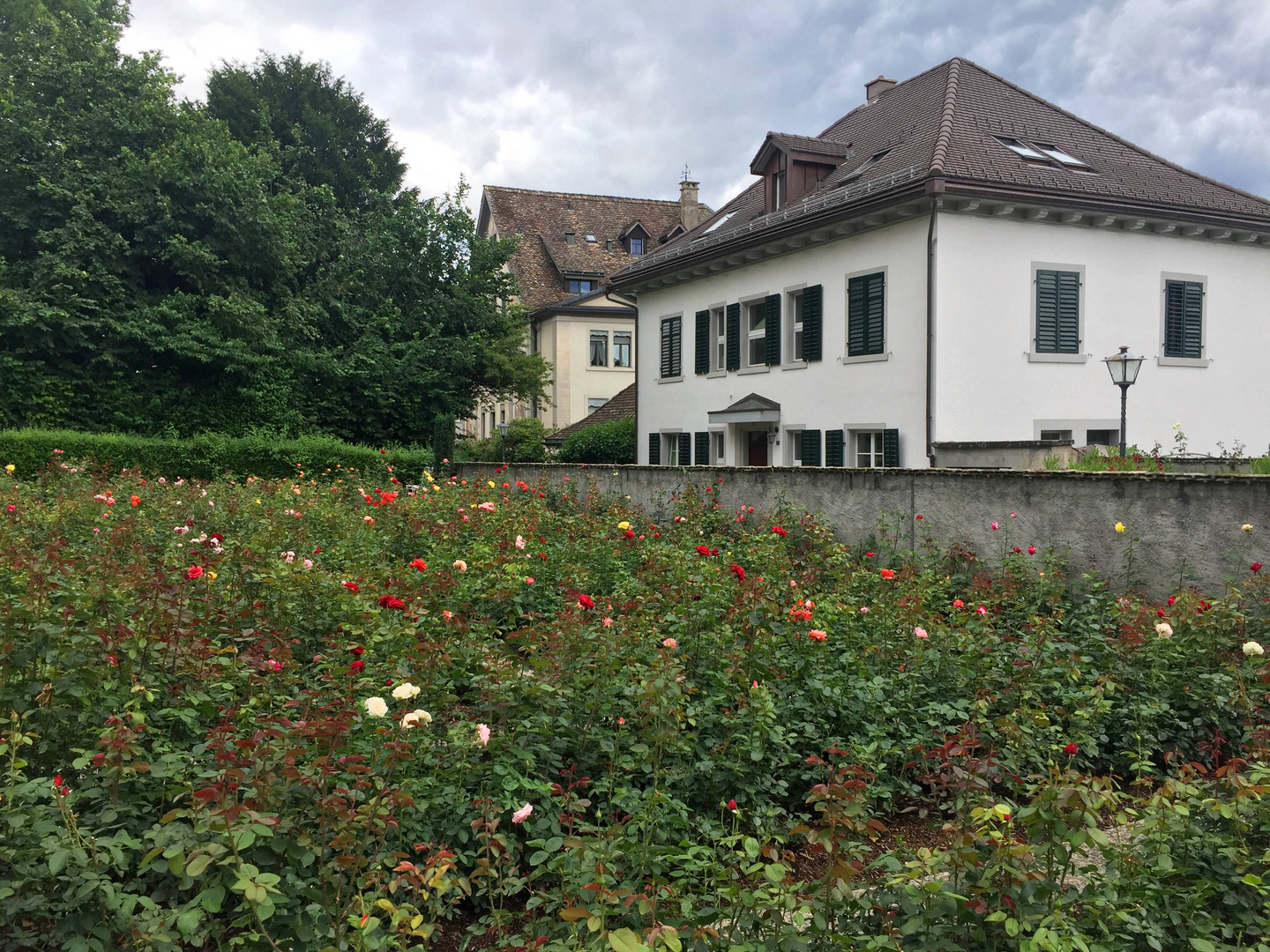 Rosengarten beim Einsiedlerhaus