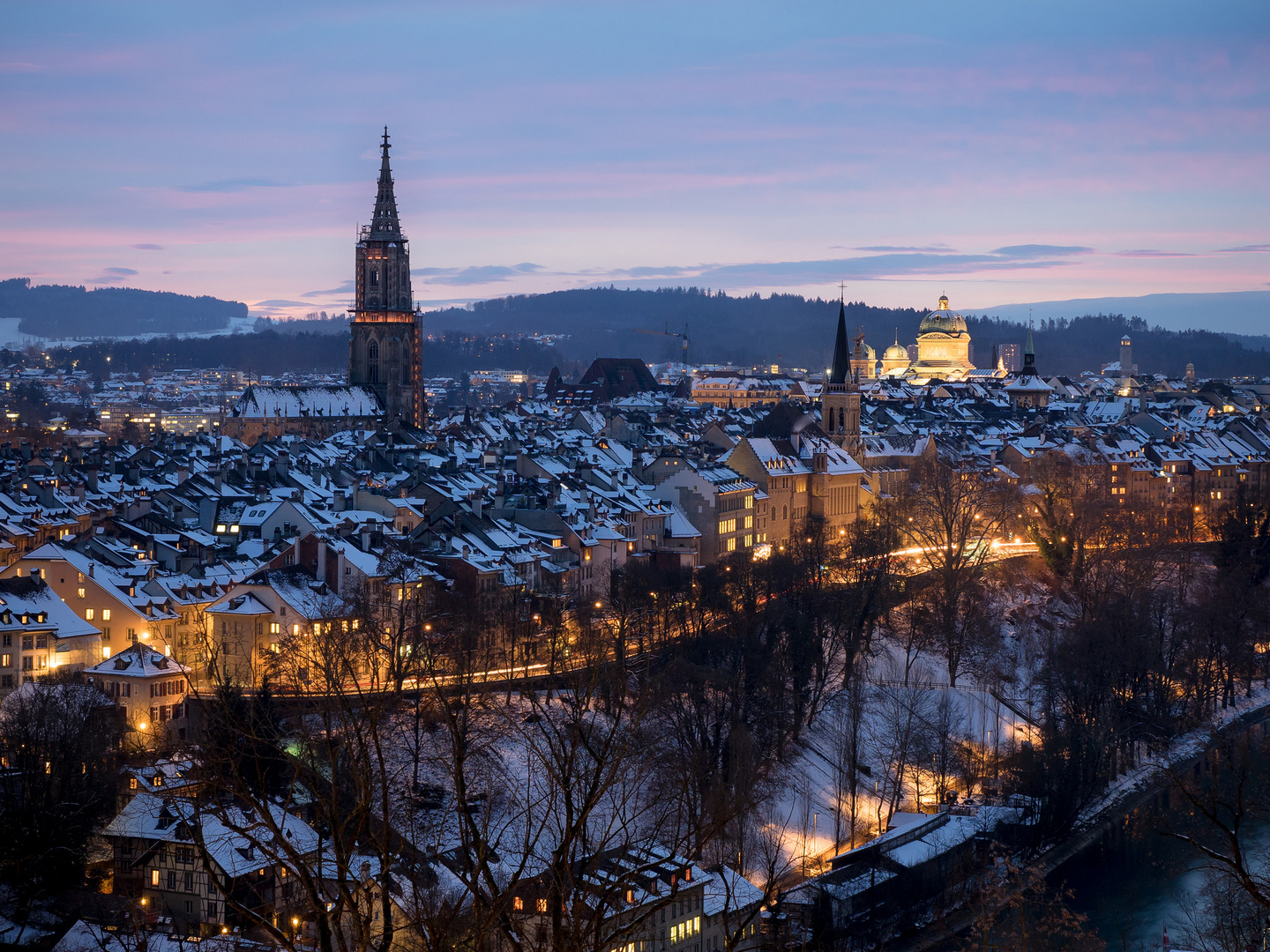 Rosengarten, Bern (010/365)