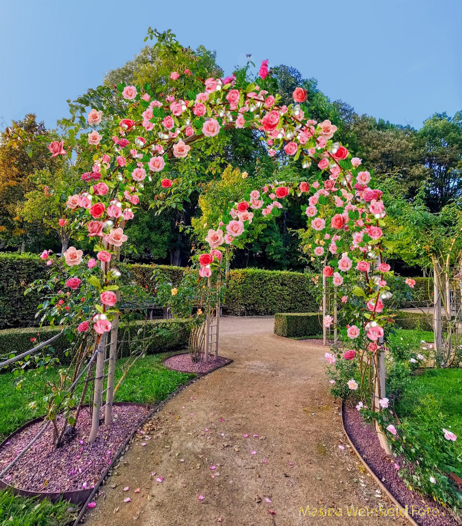 Rosengarten Chemnitz - Gärten Sammlung https://photos.app.goo.gl/RY0wWgVqOf0zih082