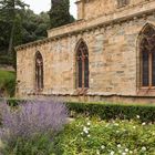 Rosengarten der Abbaye de Fontfroide...