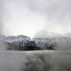 Rosengarten durch ein Loch im Nebel