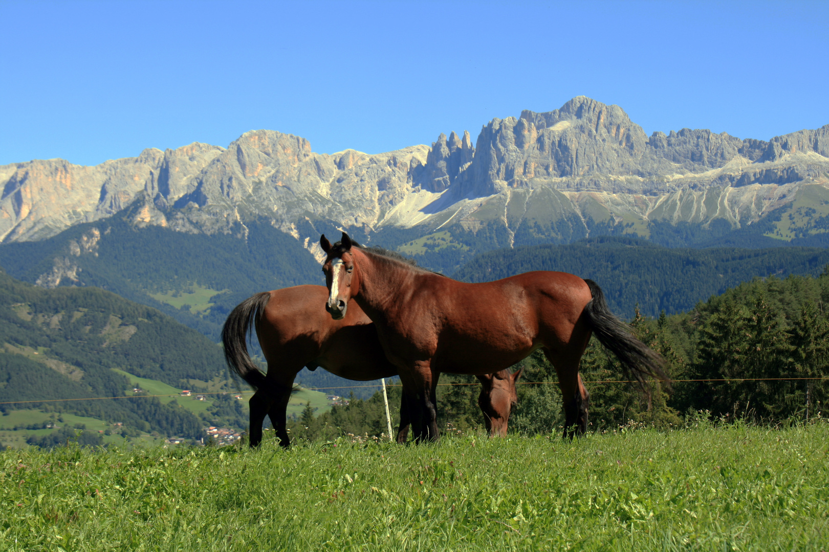 Rosengarten