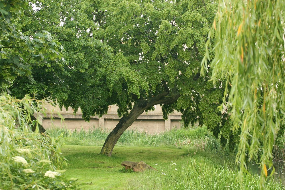 Rosengarten Güstrow Foto & Bild landschaft, garten