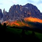 Rosengarten im Abendlicht