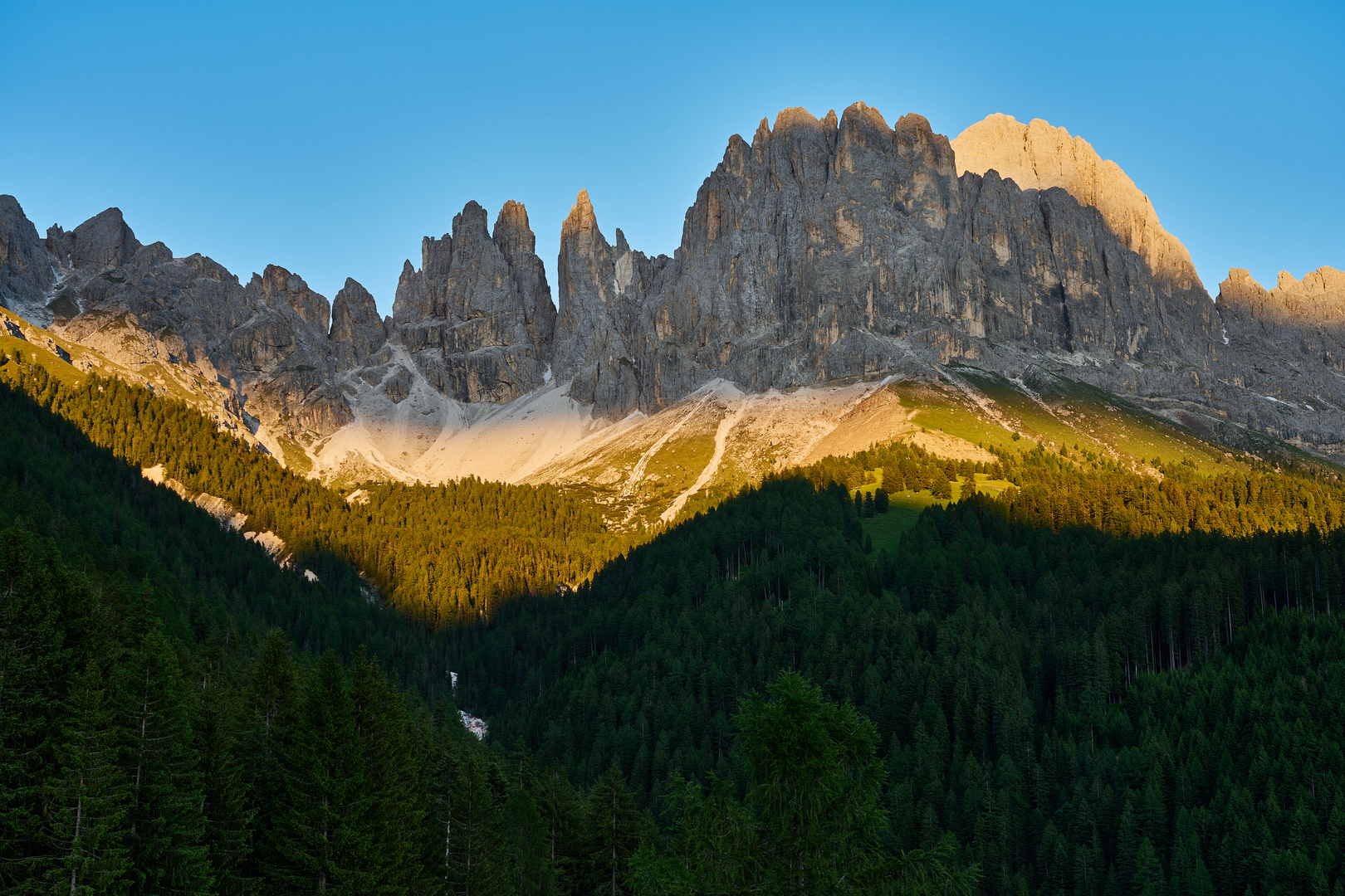 Rosengarten im Abendlicht