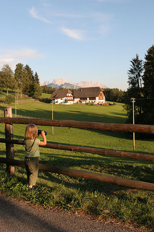 Rosengarten im Abendrot