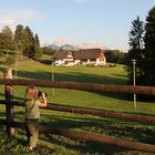 Rosengarten im Abendrot