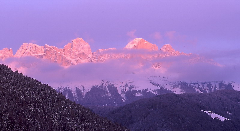 Rosengarten im Alpenglühen