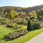 Rosengarten im Herbst