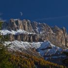 Rosengarten im Herbst