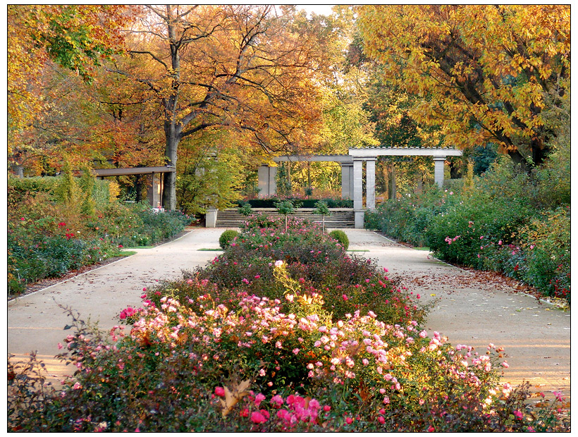 Rosengarten im Herbst von Christia Schneider