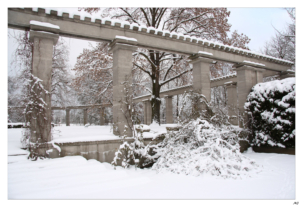 Rosengarten Im Januar