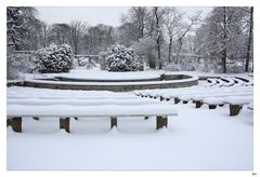 Rosengarten Im Januar 1