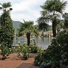 ROSENGARTEN IM KLOSTER-LAGO DI ORTA