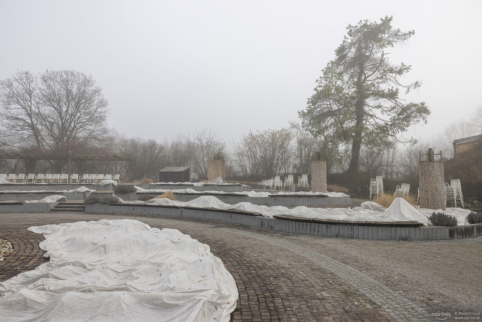 Rosengarten im Nebel