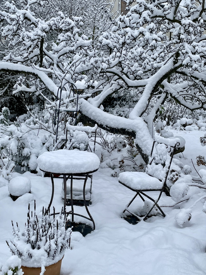 Rosengarten im Schnee