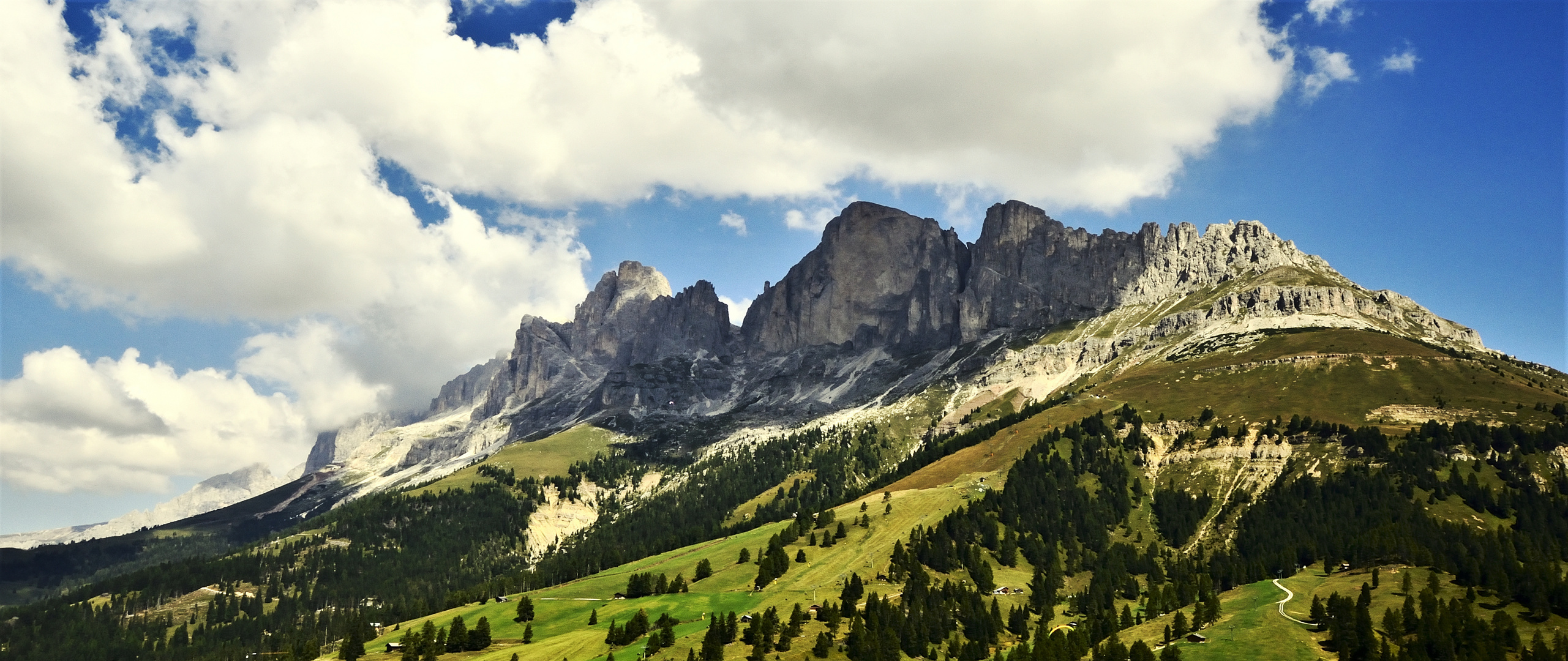 Rosengarten im Sommer