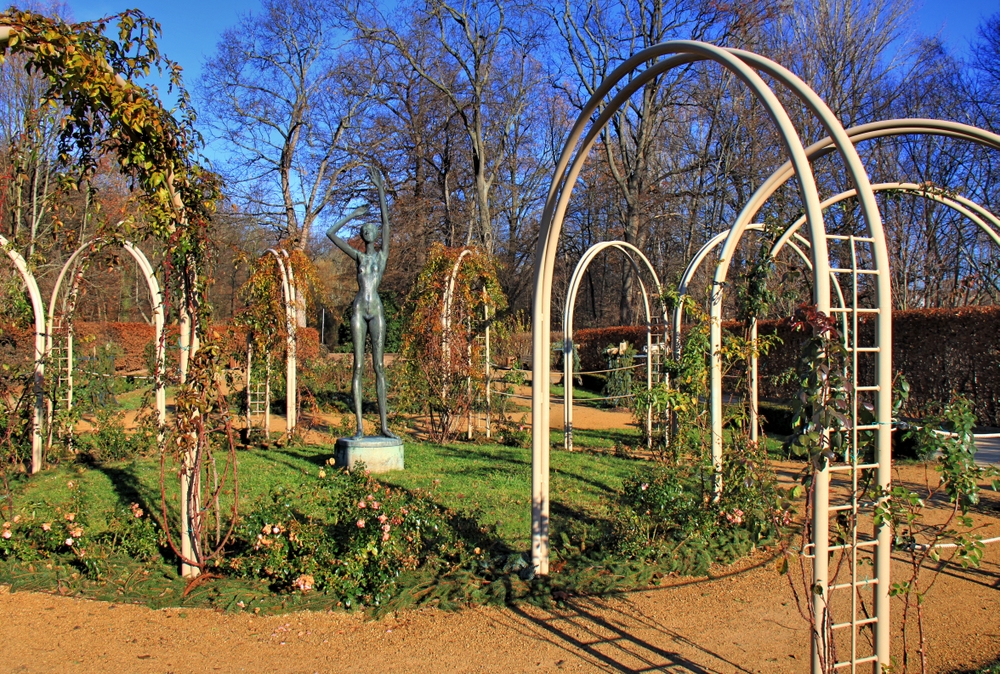 Rosengarten im Stadtpark (2)