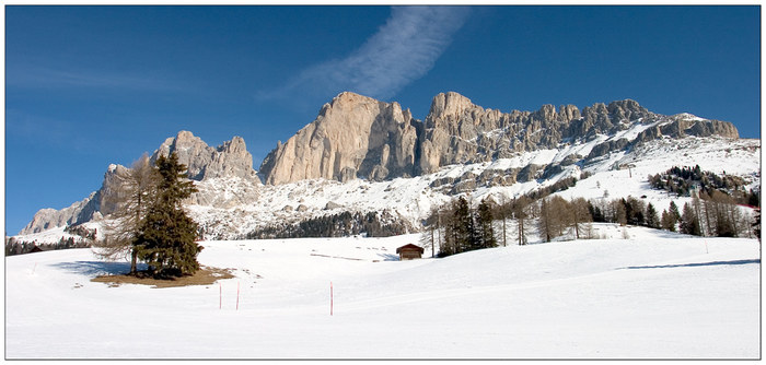 Rosengarten im Winter