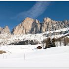 Rosengarten im Winter