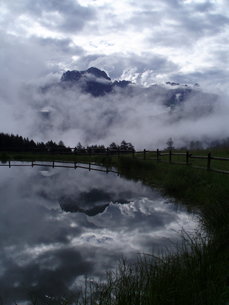 Rosengarten in Wolken