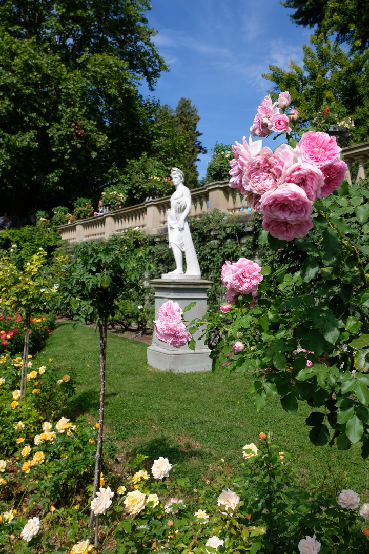 Rosengarten Mainau