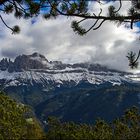 Rosengarten mit Legföhrenumrahmung