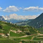 Rosengarten mit Weinberge