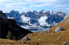 Rosengarten nach dem Regen bzw. Schnee