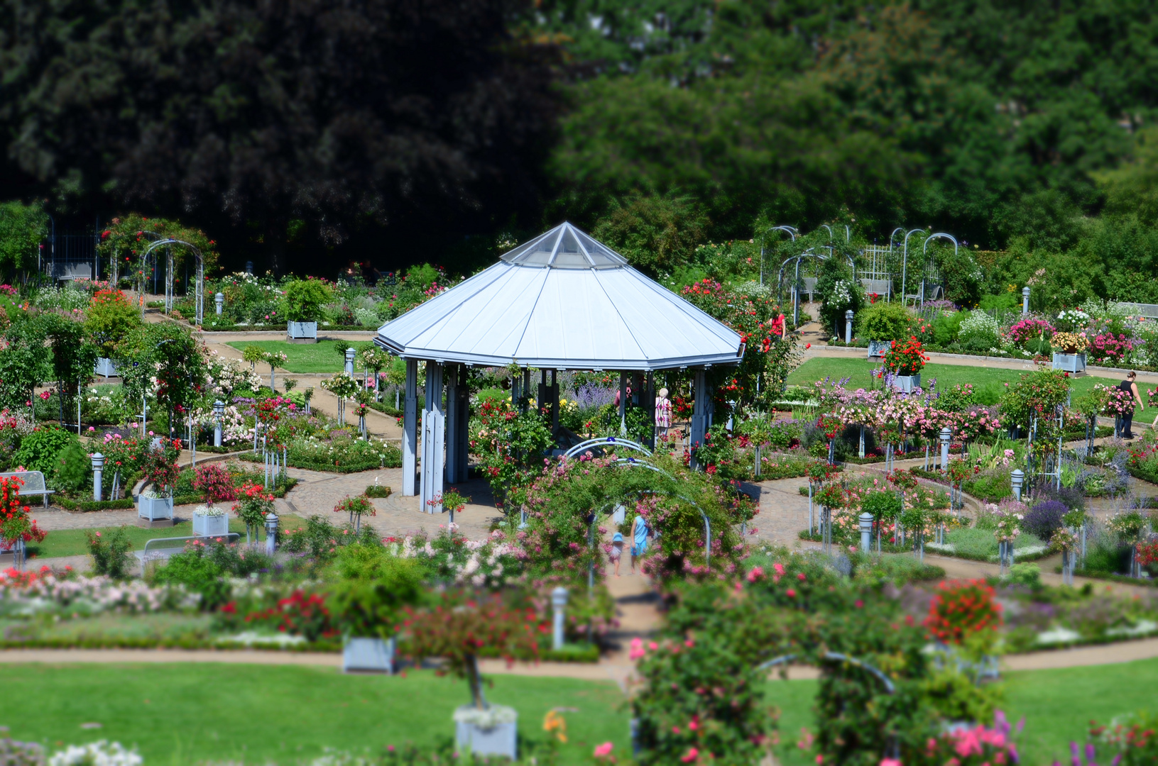 Rosengarten Planten un Blom