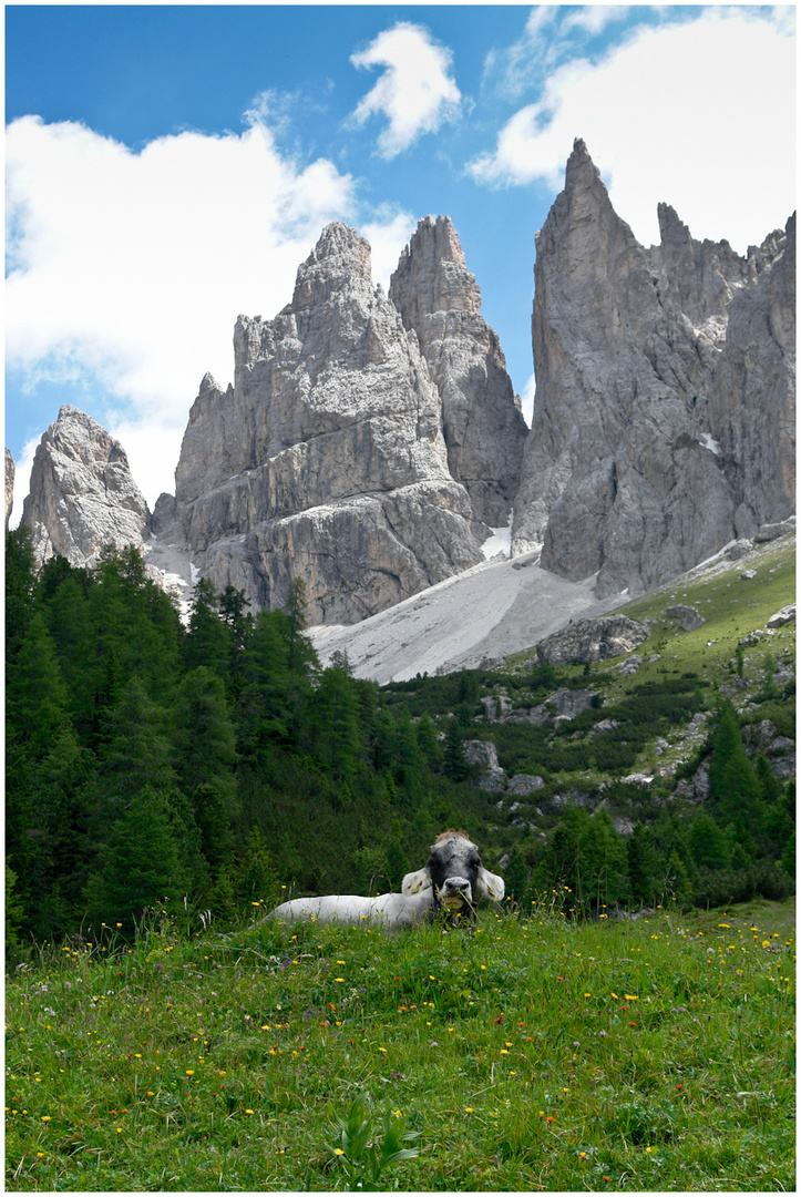 Rosengarten - Südtirol -