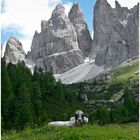 Rosengarten - Südtirol -