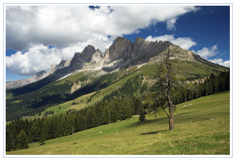 Rosengarten und Latemarwiesen