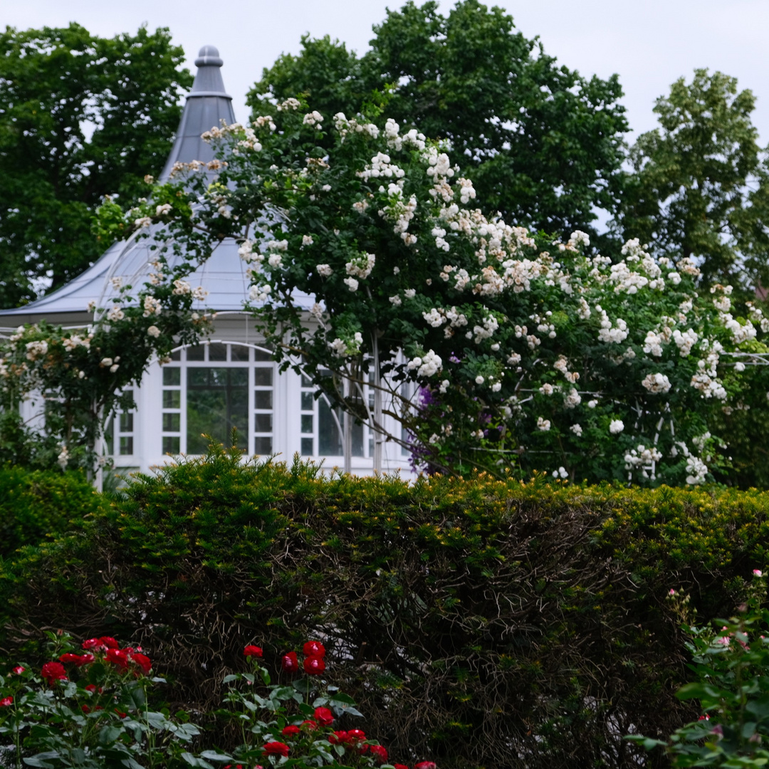 Rosengarten Würzburg Bundesgartenschau 