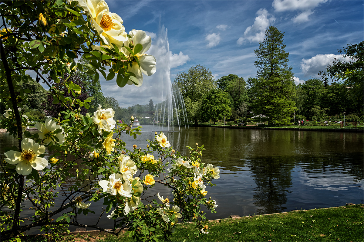 Rosengarten Zweibrücken