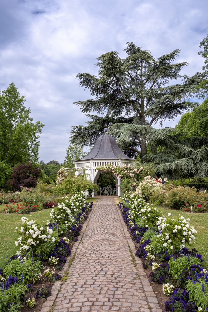 Rosengarten Zweibrücken II