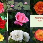 Rosengruesse-2022