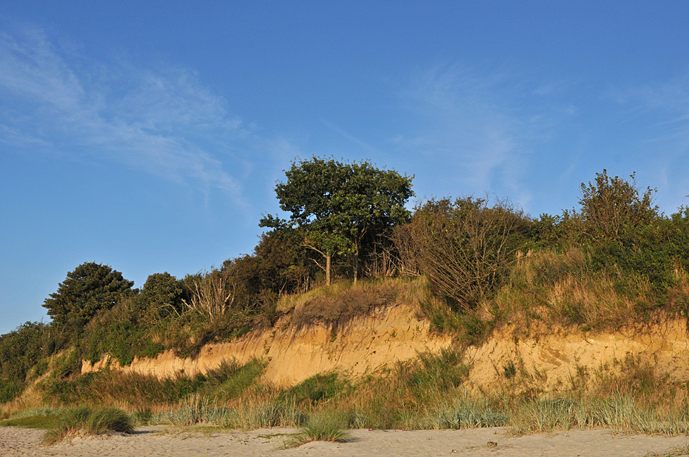 Rosenhagen: Die Steilküste 01