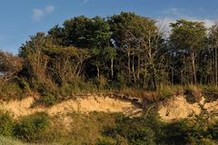 Rosenhagen: Die Steilküste 04