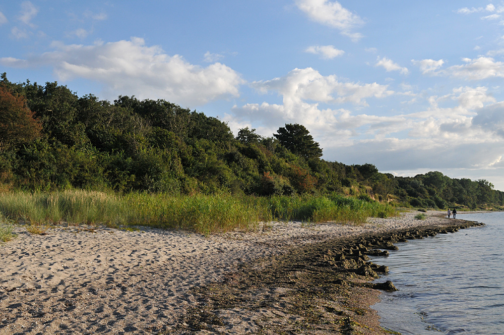 Rosenhagen: Die Steilküste 06