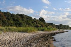 Rosenhagen: Die Steilküste 06