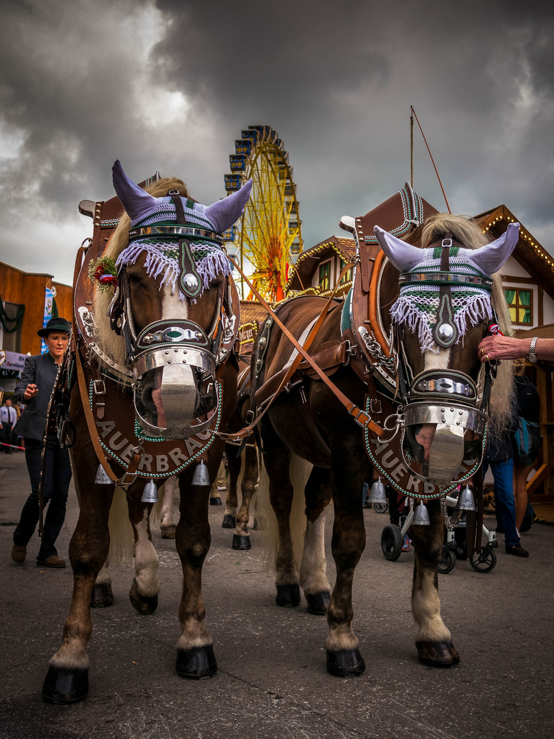 Rosenheimer Herbstfest