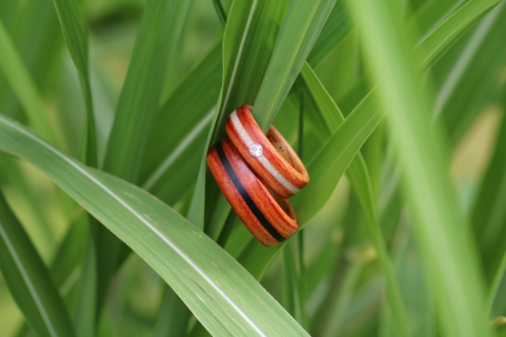 Rosenholzringe mit Ahorn und Inlays, Muschelkalk/Opal