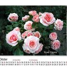 Rosenkalender Oktober 2010